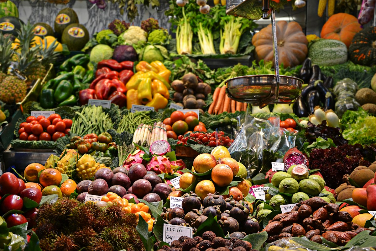 Food For Solidarity Community Impact